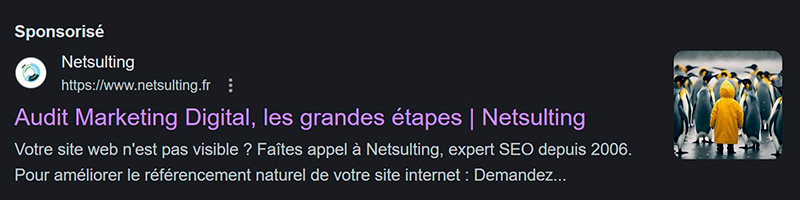 Netsulting, agence webmarketing en Seine-et-Marne (77)