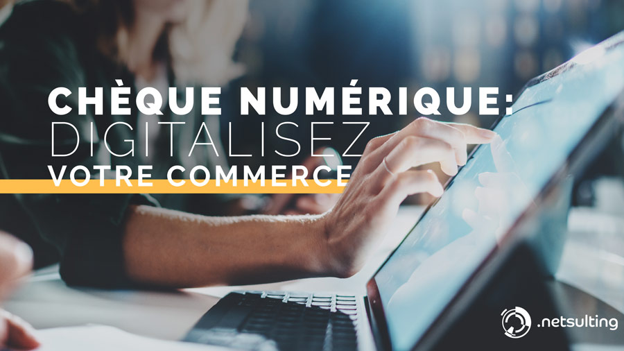Chèque Numérique Netsulting Agence Webmarketing De Seine Et Marne 5361